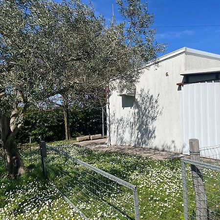 Apartma Korelc 科佩尔 外观 照片